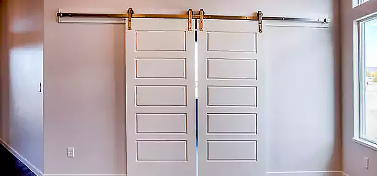 Glass Barn Door with Installation Hardware Kit Poughkeepsie