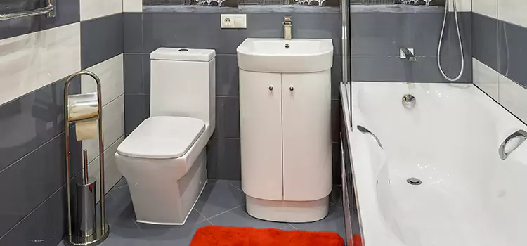 Hansgrohe Shaving Mirror Poughkeepsie